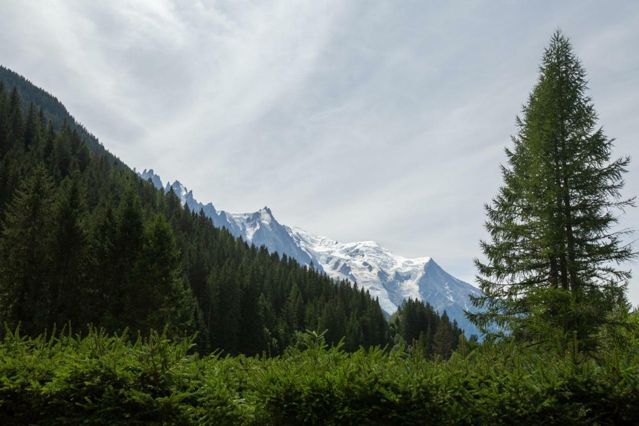 Chalet L'Ilet - Happy Rentals Chamonix Kültér fotó